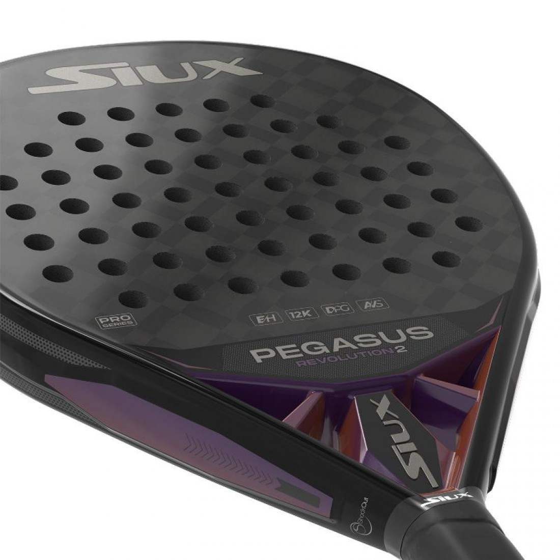 SIUX PEGASUS REVOLUTION 2 2024